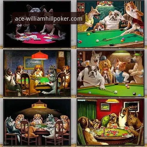 如何获取并畅玩威廉希尔扑克电脑版？