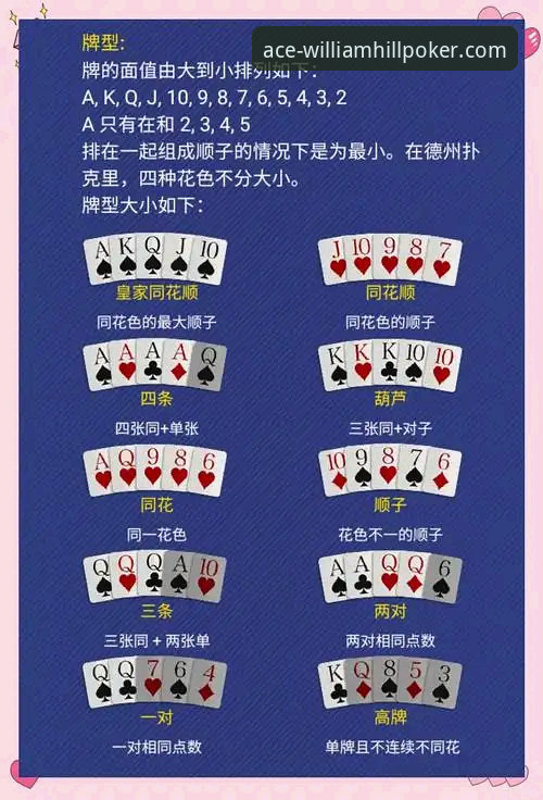 威廉希尔扑克专业平台攻略：新手入门与实战体验全面评测